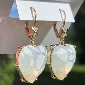 BETSEY JOHNSON Leopard Heart Lever Back Earrings